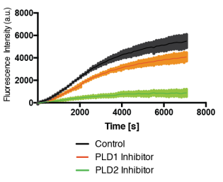 Live-cell enzyme-coupled PLD activity assay