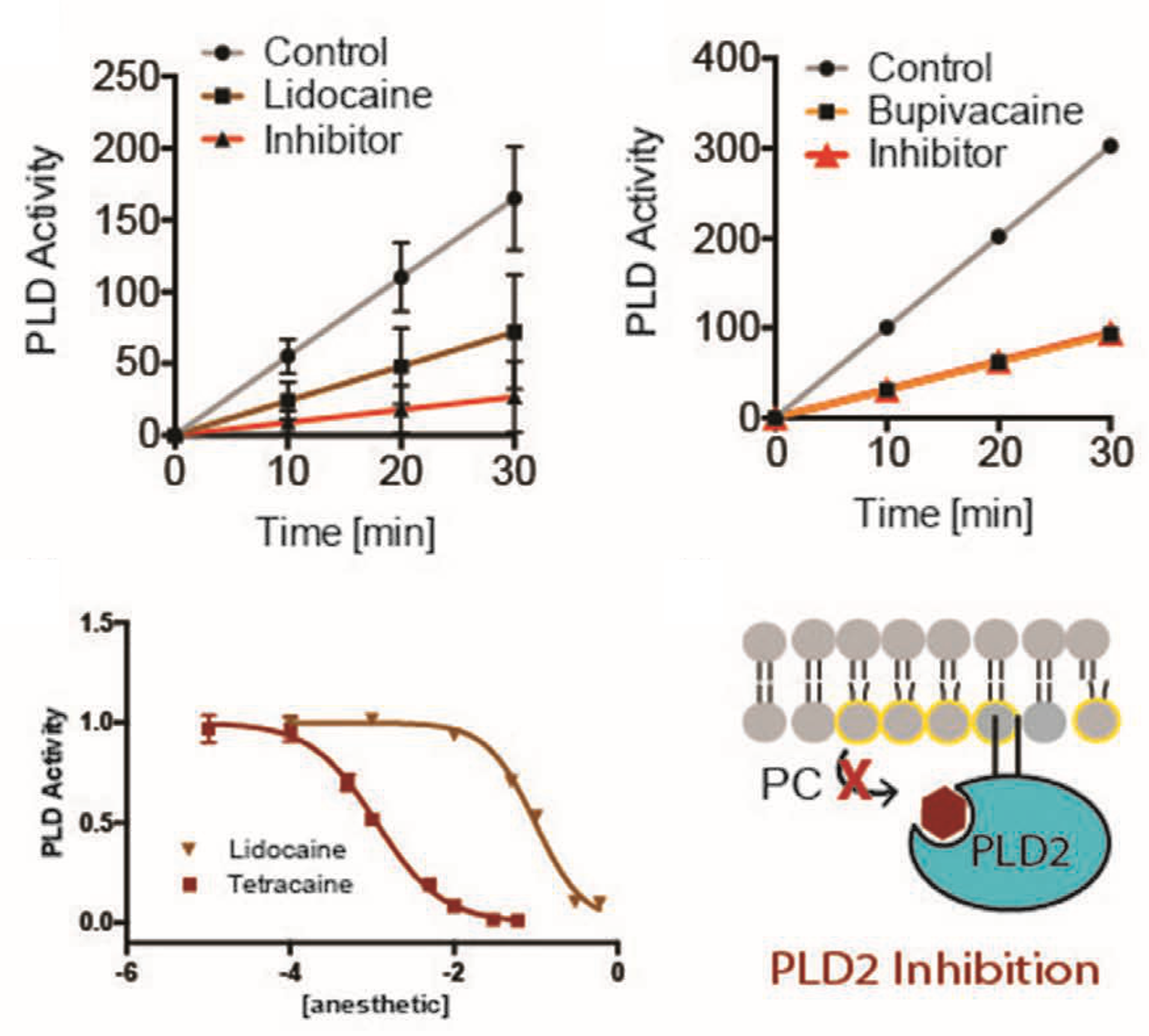 Figure from Pavel et al., Anesthesia & Analgesia 2019